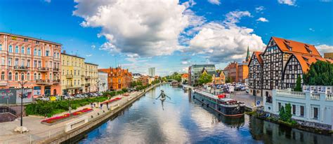 discover weed in Bydgoszcz